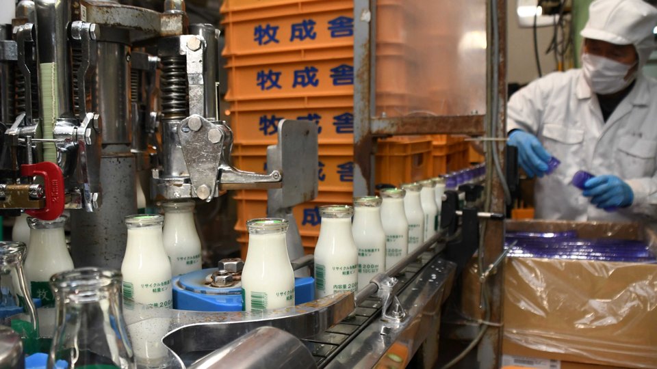 瓶詰めされる牛乳＝飛騨市古川町増島町、牧成舎