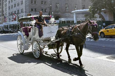 　米ニューヨークのセントラルパーク周辺を走る馬車＝１３日（共同）