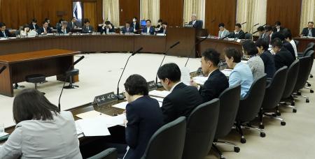 　大規模災害時の選挙を巡り、有識者への参考人聴取を実施した参院憲法審査会＝７日午後
