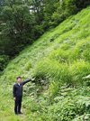 茅場でカリヤスを指さす白川村教育委員会の尾崎達也さん