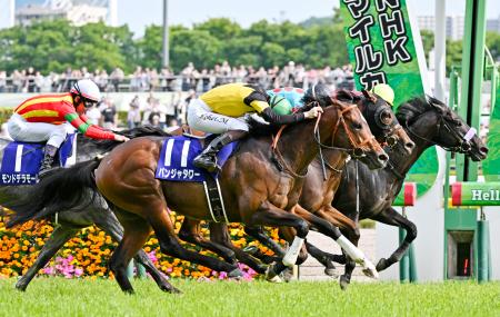　第３０回ＮＨＫマイルカップを制した松山弘平騎乗のパンジャタワー（手前）＝東京競馬場