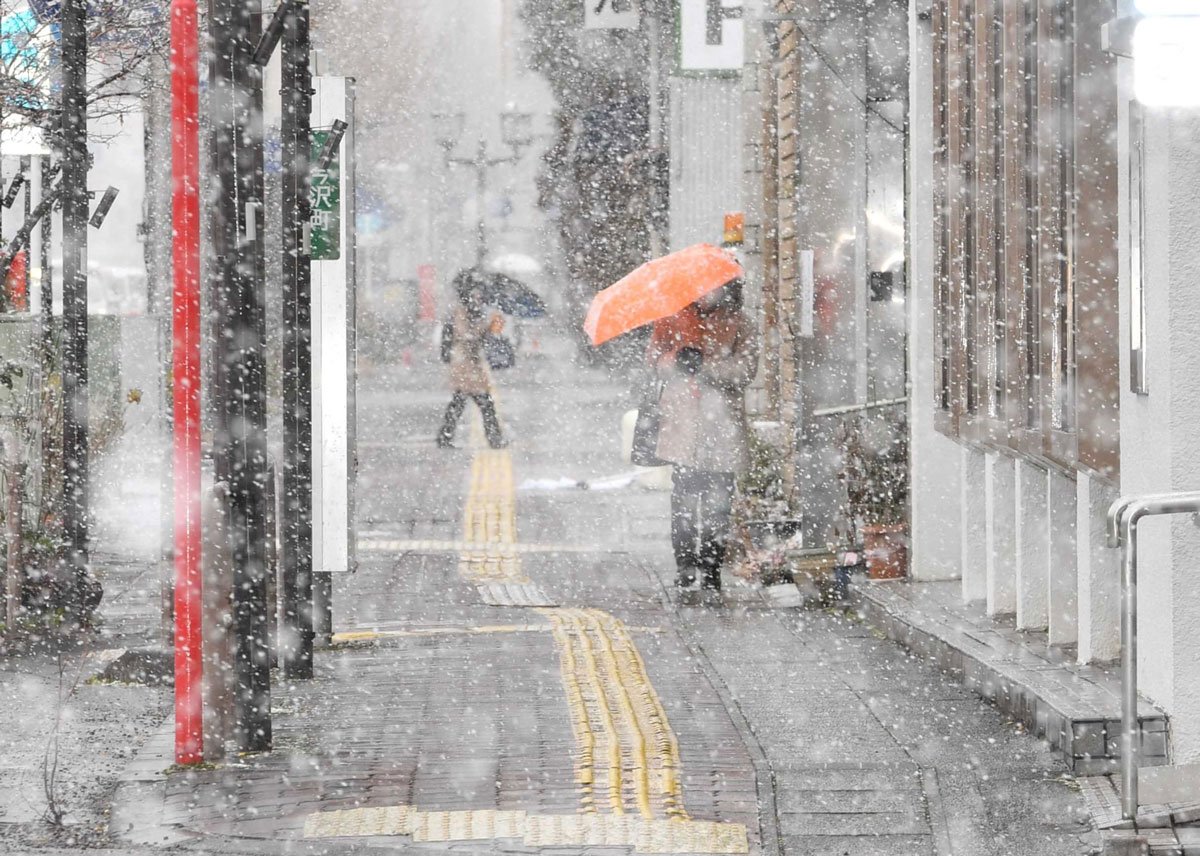 雪の降る中、傘を差して歩く人たち＝１１日午後２時５５分、岐阜市今沢町（撮影・坂井萌香）