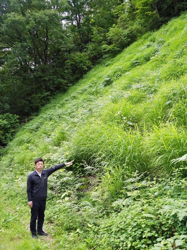 茅場でカリヤスを指さす白川村教育委員会の尾崎達也さん