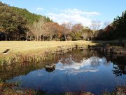篠脇山の麓に広がる国指定名勝「東氏館跡庭園」＝郡上市大和町牧、古今伝授の里フィールドミュージアム