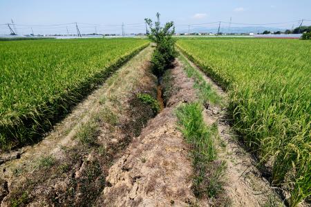　地震によって崩れた熊本県氷川町の用水路＝２日