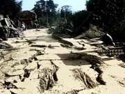 羽栗郡北方警察署前の地割れ（県提供）