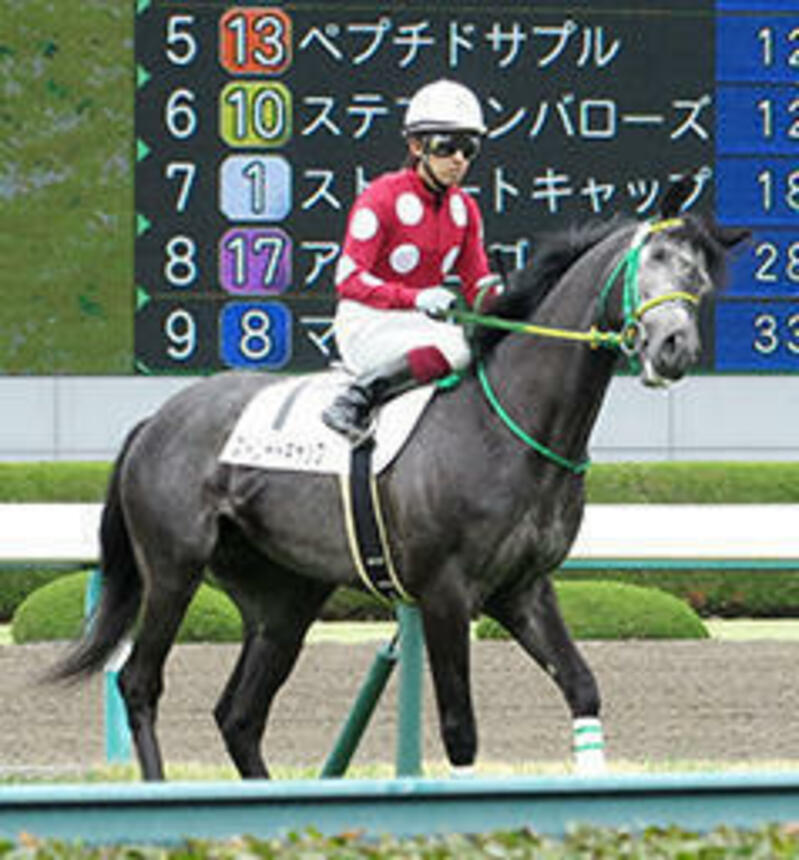 阪神競馬場で出走したストリートキャップには、福永祐一騎手が初めて騎乗した