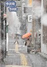 雪の降る中、傘を差して歩く人たち＝１１日午後２時５５分、岐阜市今沢町（撮影・坂井萌香）