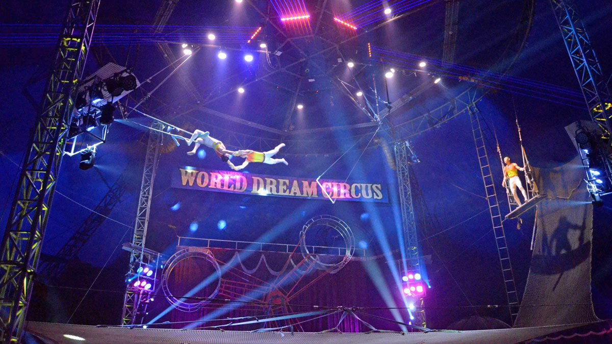 空中ブランコで観衆を沸かせる団員＝大垣市外野、イオンモール大垣北側駐車場特設会場