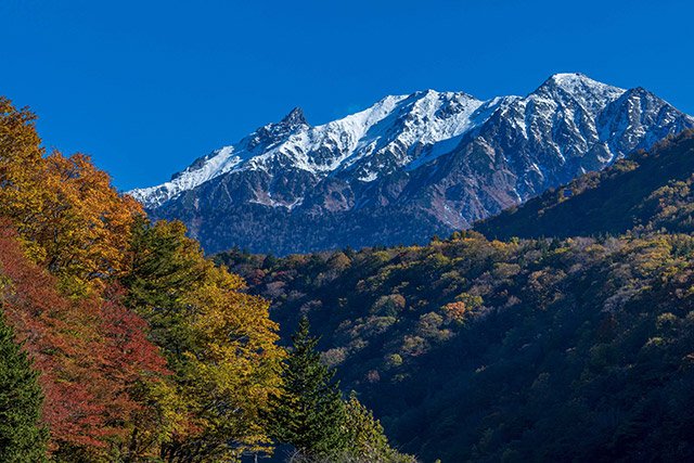 青空と冠雪の北アルプス（左が槍ケ岳）に映える紅葉＝高山市奥飛騨温泉郷中尾
