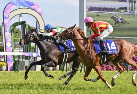 　第１７１回天皇賞・春で優勝したヘデントール。頭差の２着はビザンチンドリーム（１４）＝京都競馬場