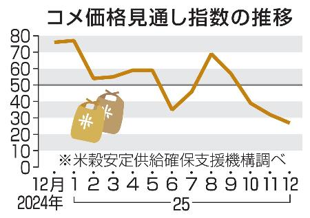 　コメ価格見通し指数の推移