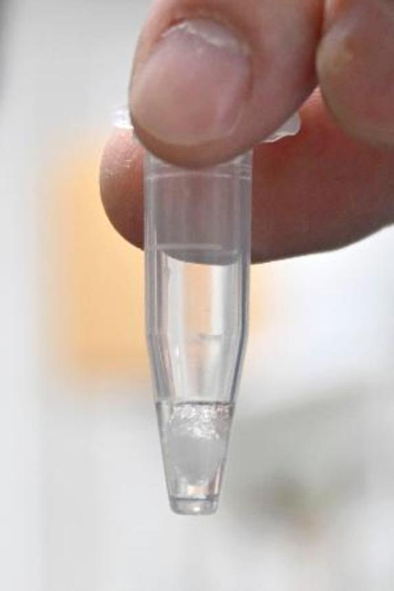 　化合物「Ｍｉｃ―６２８」の溶液