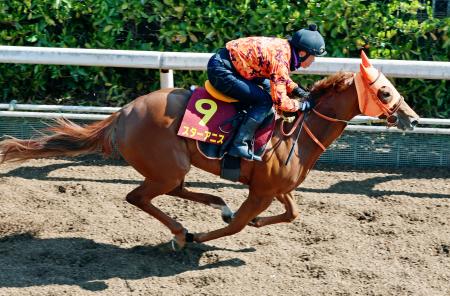 　桜花賞に向け調整するスターアニス＝栗東トレーニングセンター