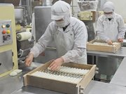 ラインから流れてきた団子をせいろに並べる