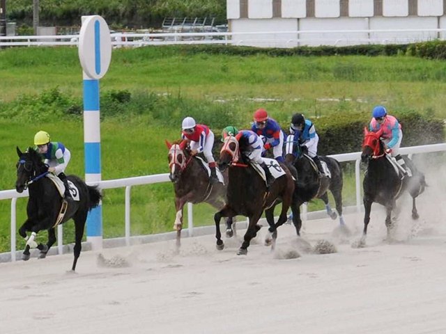 レースの再開に向けて実施された演習で走る競走馬＝岐阜県笠松町、笠松競馬場