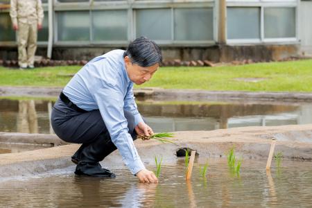 　皇居内の水田で田植えをされる天皇陛下＝１４日午前（宮内庁提供）