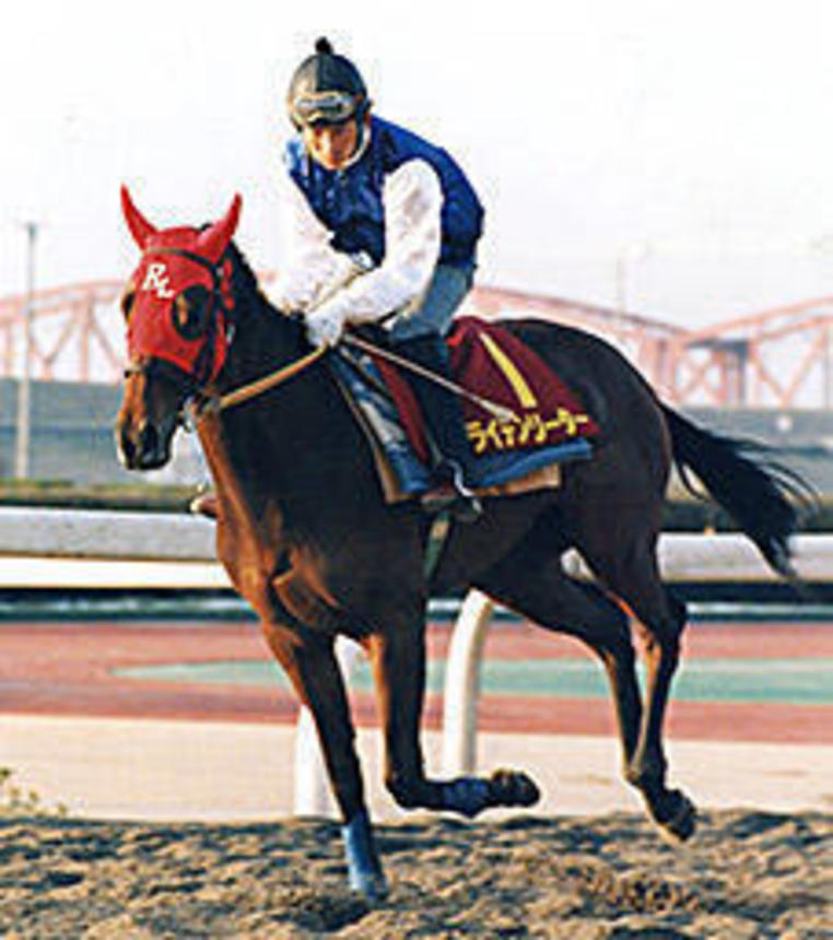 地方・中央交流元年となった1995年の年度代表馬に選ばれたライデンリーダーと安藤勝己騎手