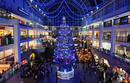 　札幌市の大型商業施設「サッポロファクトリー」で点灯されたクリスマスツリー。白や金など６色のＬＥＤ電球約５万個が輝いた＝１日夜
