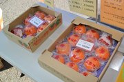 親戚などへの贈答用として箱に入れて売られている柿＝本巣市上保、丸金青果