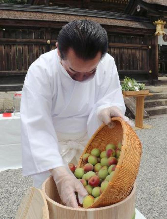 　和歌山県田辺市の熊野本宮大社で行われた「梅漬けの儀」＝６日午前