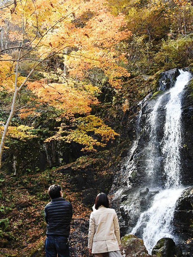 滝に彩りを添える紅葉＝高山市国府町宇津江、宇津江四十八滝県立自然公園
