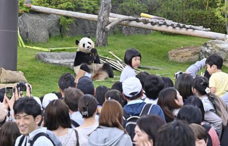 　５月、ジャイアントパンダ「結浜」を見るため訪れた大勢の観光客＝和歌山県白浜町のアドベンチャーワールド