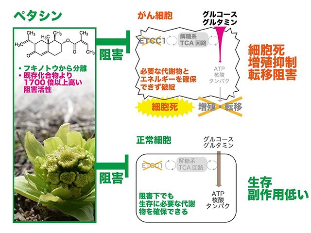 岐阜大大学院連合創薬医療情報研究科提供
