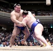 　安青錦（右）が寄り切りで高安を下す＝両国国技館