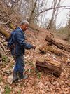 峠に向かう「小萱古道」。山林内の旧道を再整備した＝岐阜県飛騨市神岡町小萱