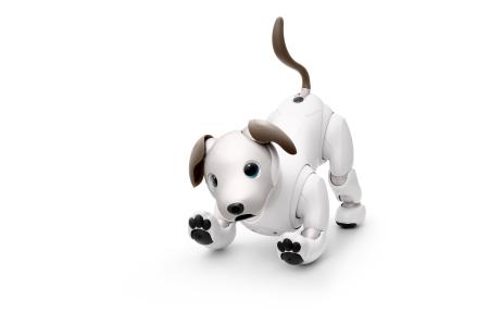 　ソニーグループの「ａｉｂｏ」（同社提供）