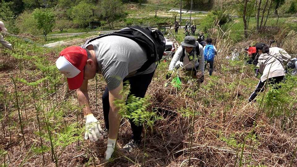 ツチノコを探す参加者＝加茂郡東白川村