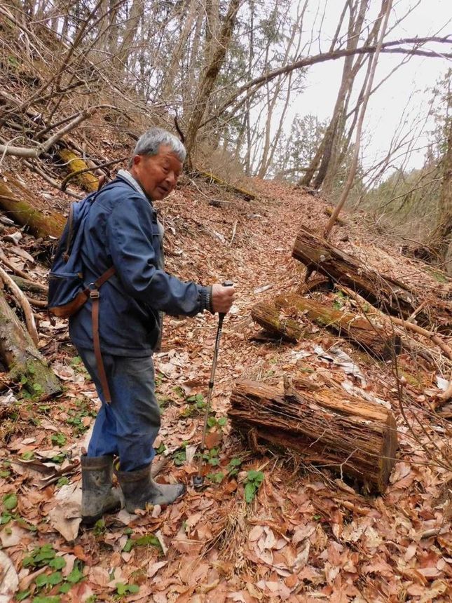 峠に向かう「小萱古道」。山林内の旧道を再整備した＝岐阜県飛騨市神岡町小萱