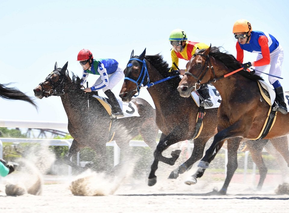 激走するオマタセシマシタ（３）＝羽島郡笠松町、笠松競馬場