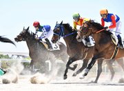 激走するオマタセシマシタ（３）＝羽島郡笠松町、笠松競馬場