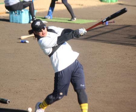 　打撃練習する巨人・甲斐＝大分市