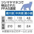 　ツシマヤマネコで検出されたＰＦＡＳ濃度