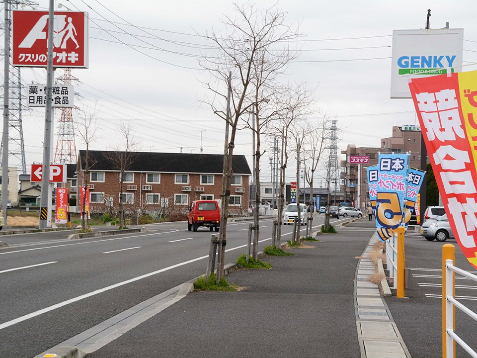 市道沿いに複数のドラッグストアが立ち並ぶ通り＝４日午前９時９分、岐阜市上尻毛八幡