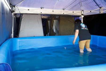 　熊本県氷川町にある公立の氷川中に設置された仮設浴場＝５日