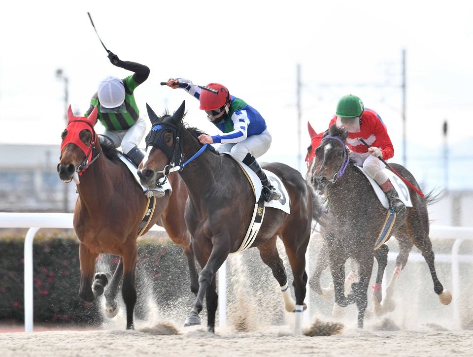 最後の直線でトップに立つオマタセシマシタ（３）＝羽島郡笠松町若葉町、笠松競馬場