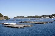 　カキ養殖のいかだ＝２０２２年、三重県鳥羽市