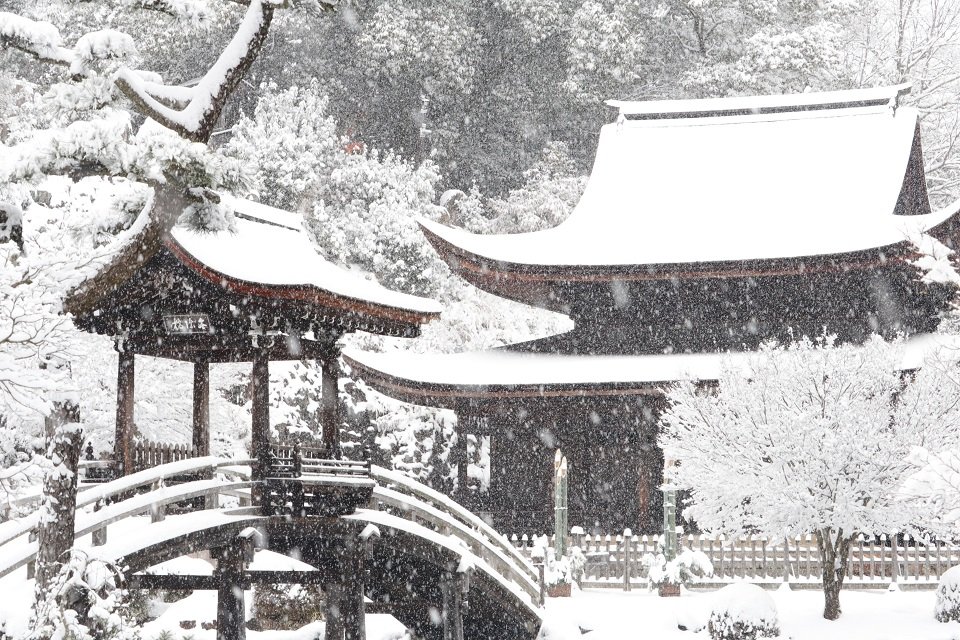 一面の雪景色となった虎渓山永保寺＝２４日午前８時３０分、多治見市虎渓山町