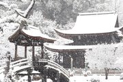一面の雪景色となった虎渓山永保寺＝２４日午前８時３０分、多治見市虎渓山町
