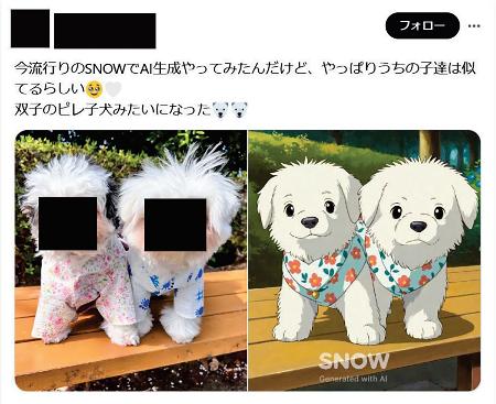 　消費者庁がステルスマーケティングに当たると確認したＳＮＳ上の投稿（同庁の資料から、投稿の一部が画像加工されています）