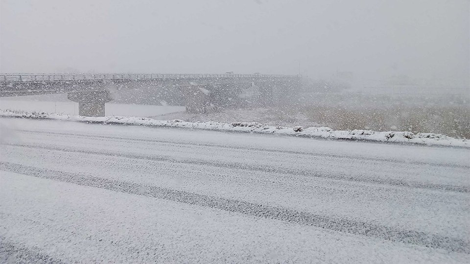 ８日午前、岐阜市内