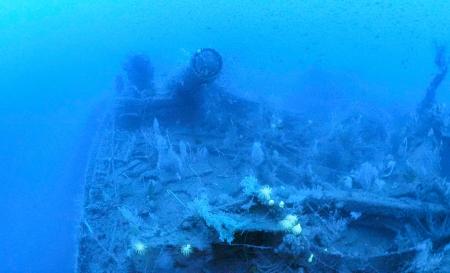 　熊本県天草市沖で撮影された軽巡洋艦「長良」とみられる船体の先端付近＝２１日（伊左治佳孝さん提供）