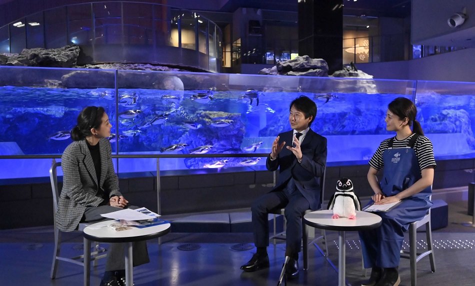 ペンギン水槽の前で意見を交わす（左から）杉山涼子社主、毛塚広治館長、高嶋悠加里さん＝東京都墨田区押上、すみだ水族館