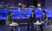 ペンギン水槽の前で意見を交わす（左から）杉山涼子社主、毛塚広治館長、高嶋悠加里さん＝東京都墨田区押上、すみだ水族館
