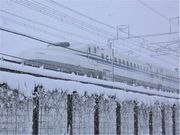 雪の中を走る東海道新幹線＝２月、岐阜県関ケ原町野上
