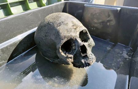 　海底炭鉱「長生炭鉱」の潜水調査で回収された頭蓋骨とみられる物＝２６日午後、山口県宇部市（長生炭鉱の水非常を歴史に刻む会提供）
